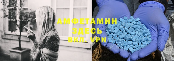 твердый Аркадак