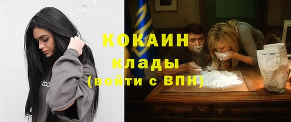 твердый Аркадак