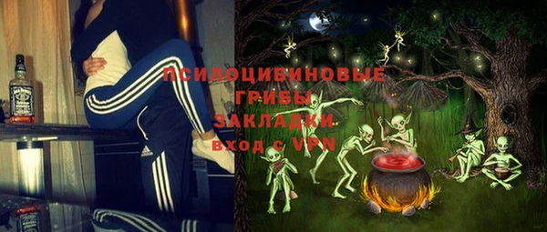 твердый Аркадак