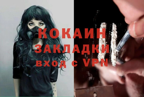 твердый Аркадак